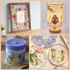 Caydo blotting papers and dried flower envelope for tidy storage