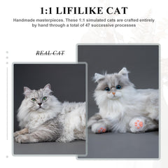 Chongker weighted cat plush with combable fur inviting grooming and bonding
