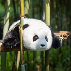 Chongker MengLan realistic eyes and lifelike look for imaginative play