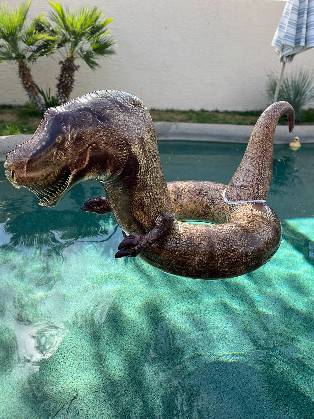 Coconut Float Tyrannosaurus Rex ring float inflated for water play.