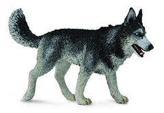Collect A Siberian Husky figure product shot shows craftsmanship for classroom learning and collector appeal.
