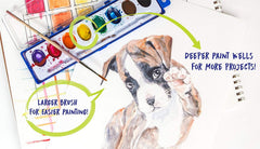 Color Swell durable watercolors ideal for art projects and long-term use.