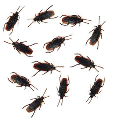 Cooplay fake cockroaches for Halloween prank with a realistic look