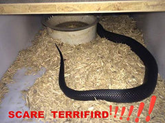 COTOSEY rubber snake lifelike pattern for Halloween decor