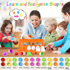 CPSYUB BPA-free ABS plastic eggs ensure safe, durable play.