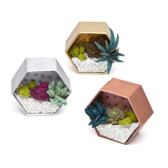 Craft Crush felt succulents roll adds color without watering.