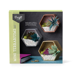 Craft Crush mini terrarium base pebbles create a sturdy display foundation.