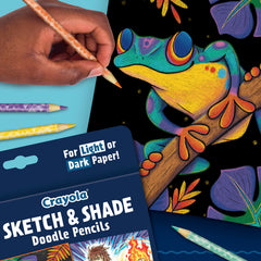 Crayola graphite pencils included for sketching before color