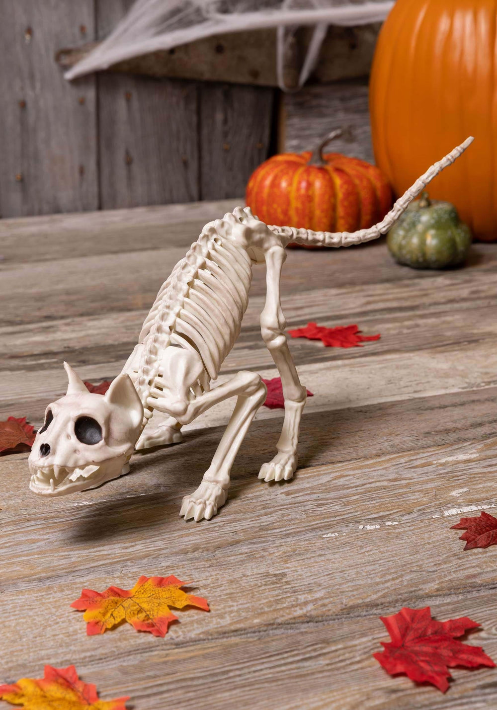 Crazy Bonez skeleton cat with bendable tail for dynamic display