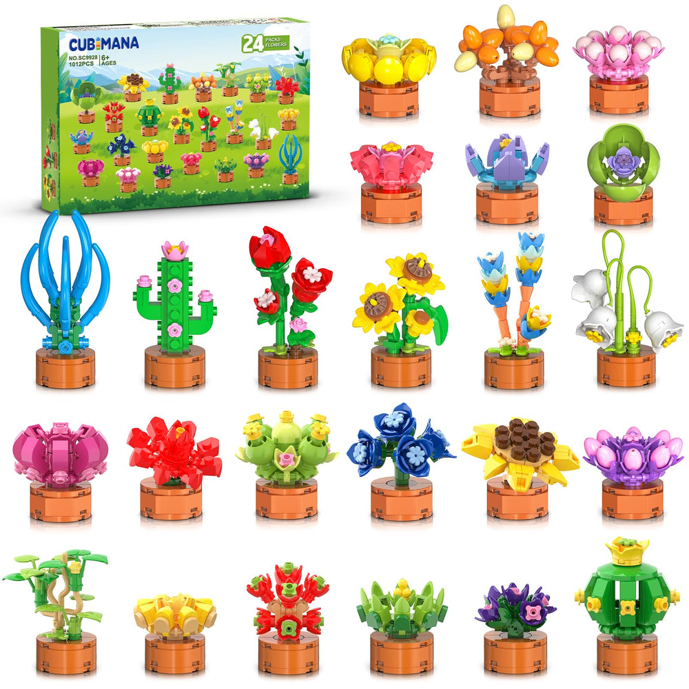 CUBIMANA flowers-succulent bonsai 01 for classroom creativity and hands-on learning.
