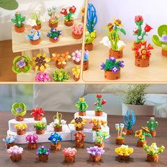 CUBIMANA flowers-succulent bonsai 05 ideal for gifting and classroom activities.