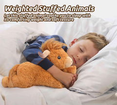 Cuckool Highland Cow plush gift packaging, ready for birthdays and holidays