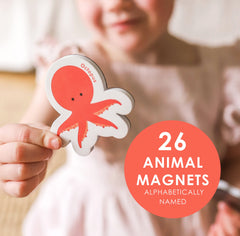 Curious Columbus fridge magnets support learning on the go
