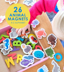 Curious Columbus magnets withstand kitchen and outdoor play with ease