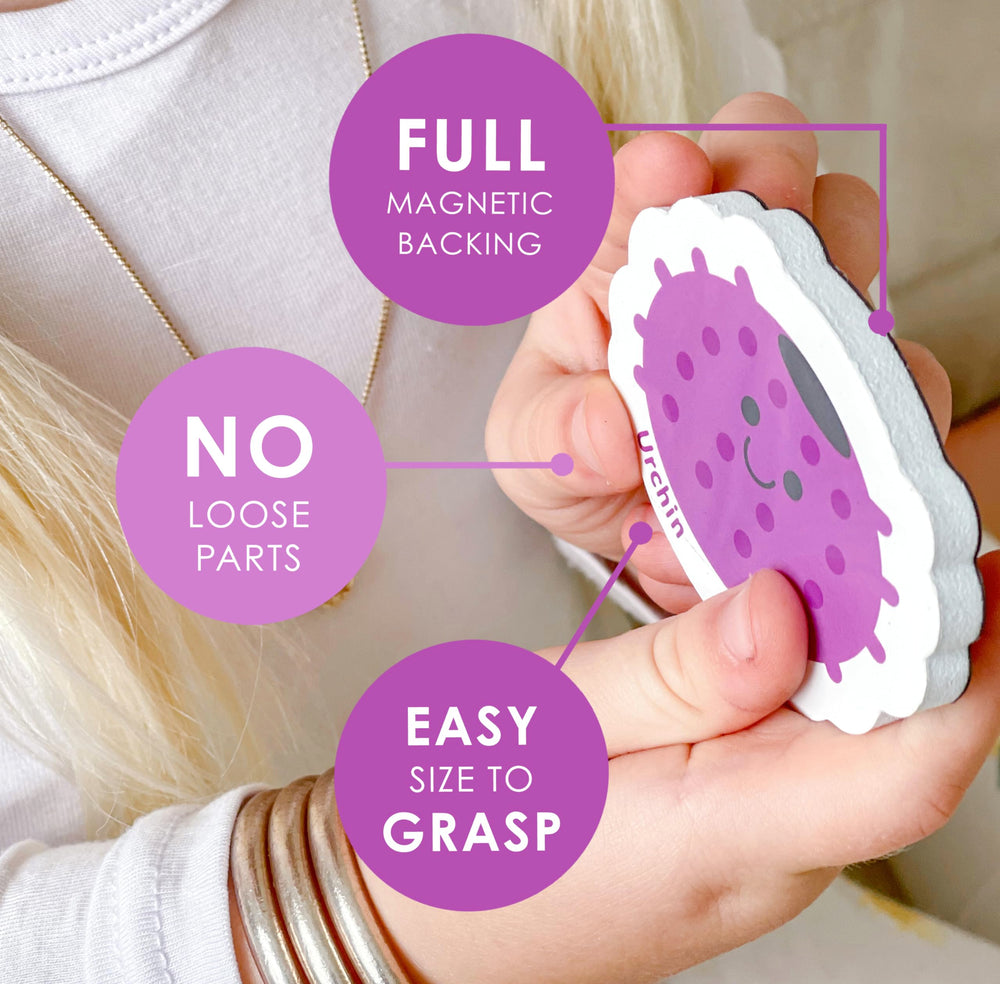 Curious Columbus toddler magnets are large, durable, and toddler-friendly