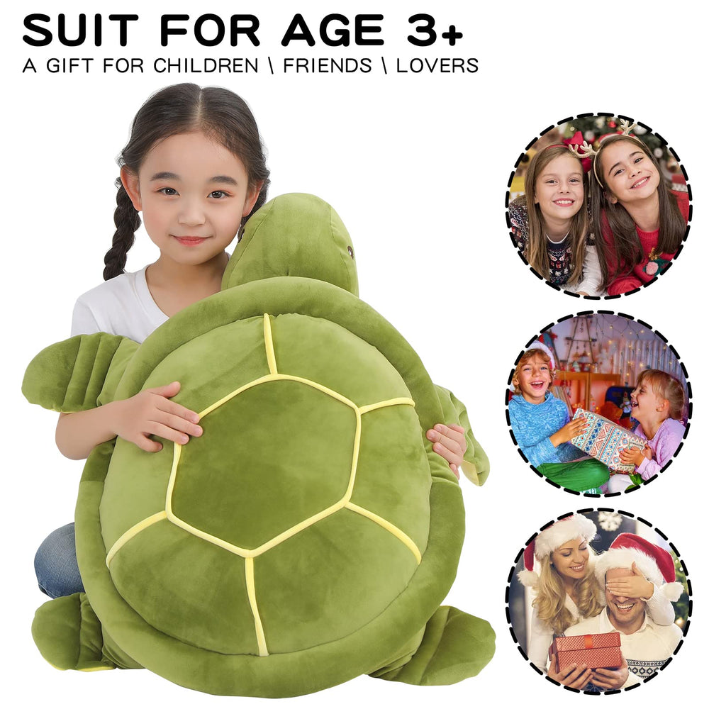 Dalmao sea turtle gift packaging, ideal for special occasions.