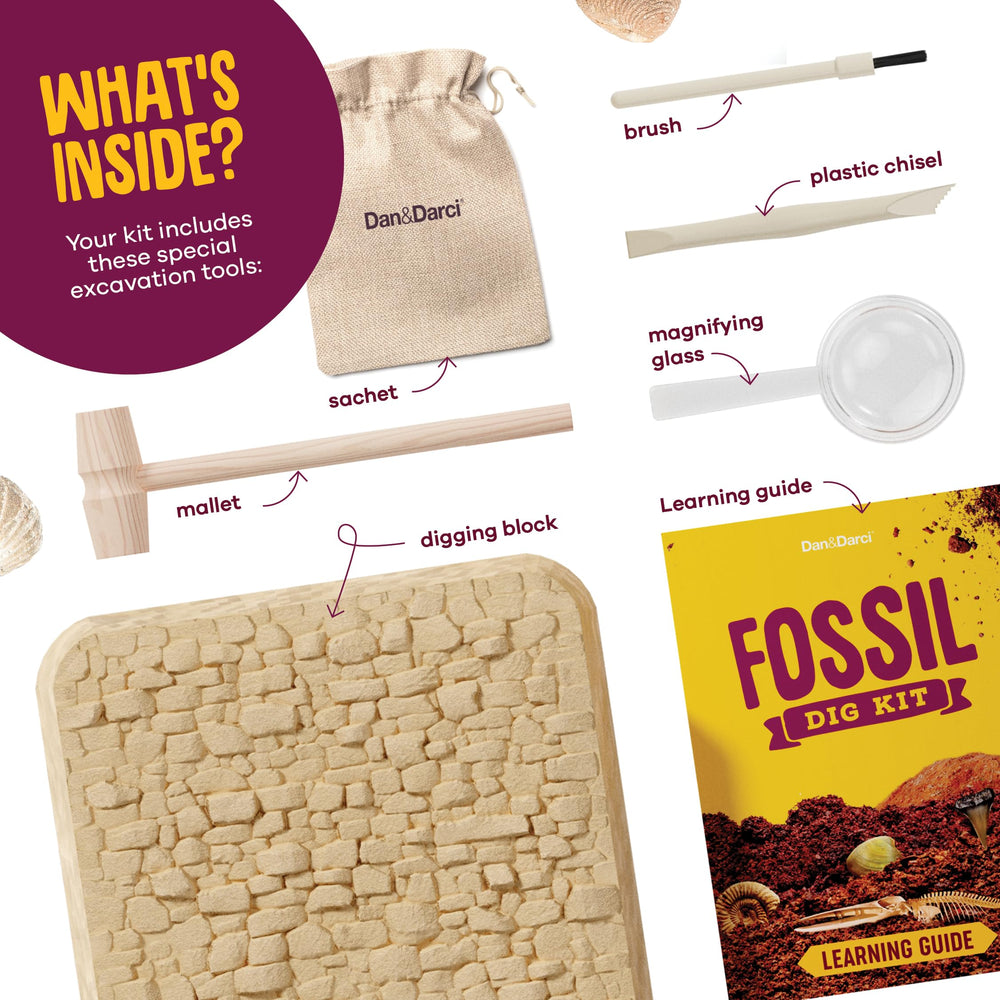 Dan&Darci fossil storage sachet for safekeeping discoveries
