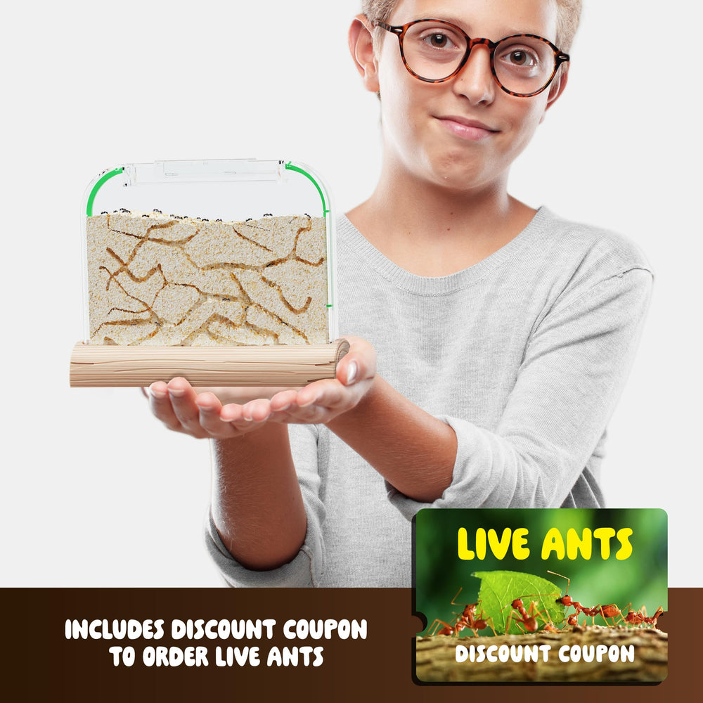 Dan&Darci Interactive Nature Play image invites hands-on discovery.