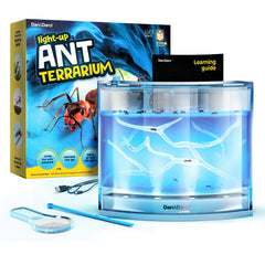Dan&Darci light-up ant farm terrarium showing glow for kid-friendly tunnel observation