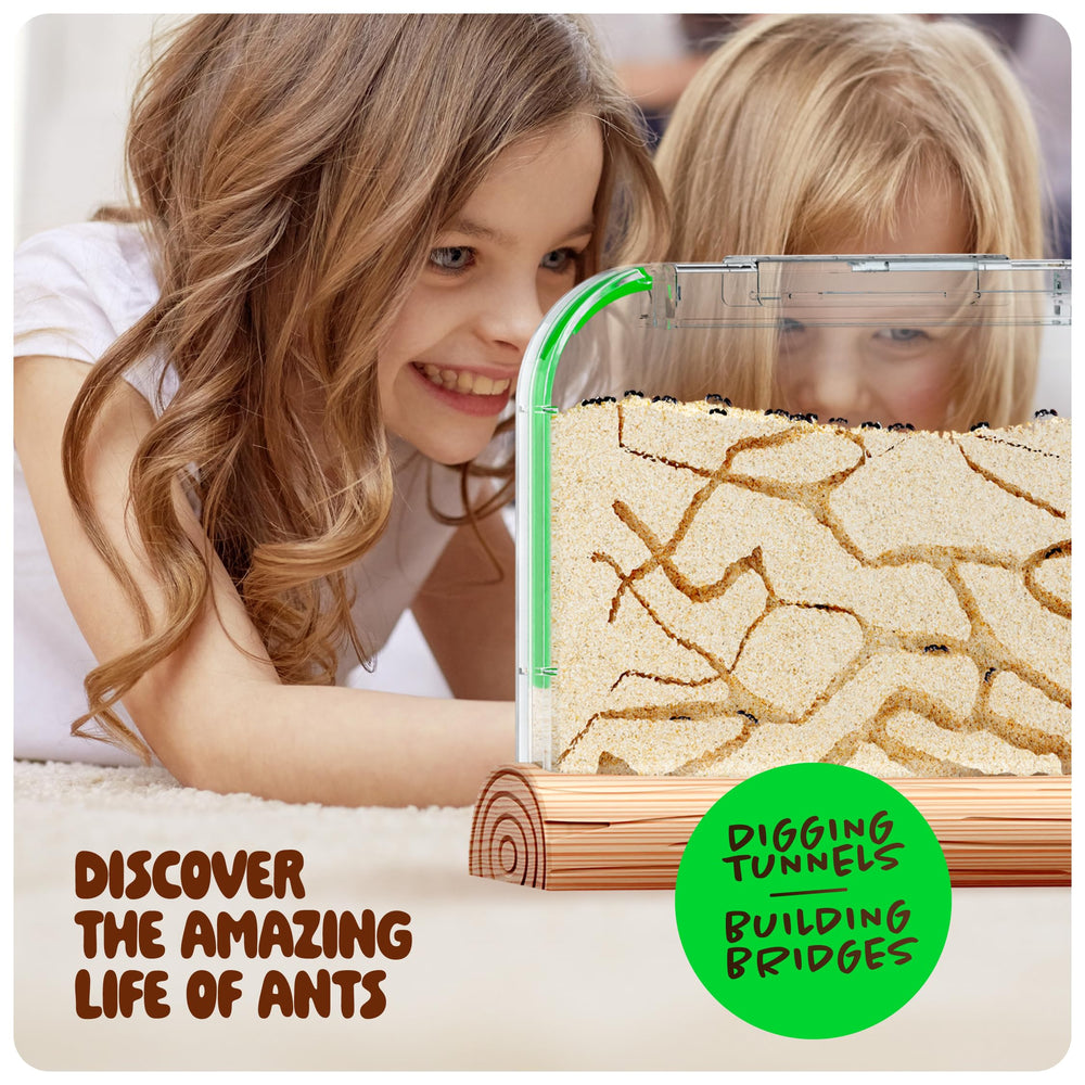 Dan&Darci Sand Habitat Kit image highlighting natural tunneling opportunities.
