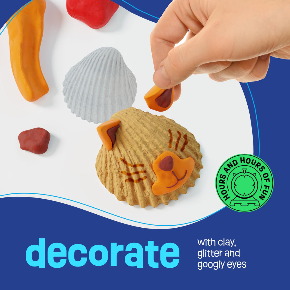 Dan & Darci Sea Shell Painting Kit googly eyes for cute shell characters