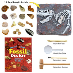 DANCING BEAR fossil dig action shot shows paleontology exploration.