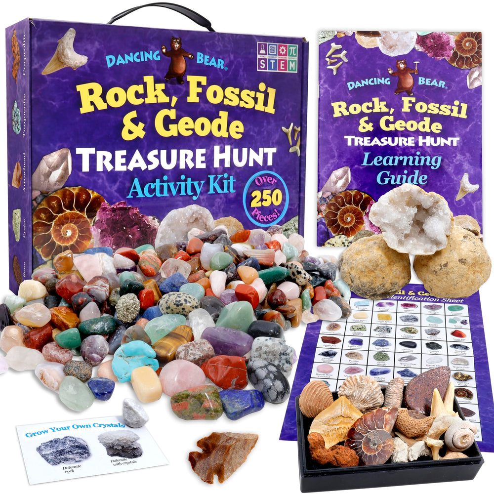DANCING BEAR rock collection kit displays varied minerals for interactive learning.