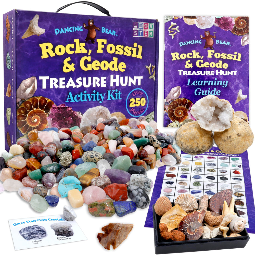 DANCING BEAR rose quartz and fools gold reveal sparkling discoveries.