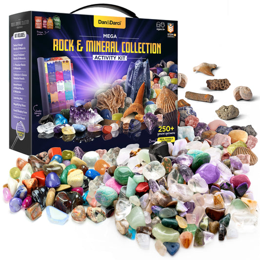 Dan&Darci rock collection for kids bulk: a diverse set for exploration and discovery