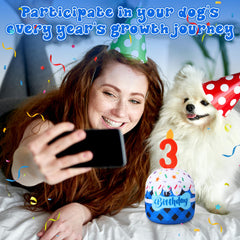 Dansydaisy dog birthday party decor idea for photos and fun.