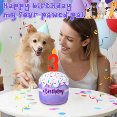 Dansydaisy 3D top cake design enhances birthday theme.