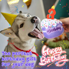 Dansydaisy dog birthday cake plush toy fits all dog sizes.