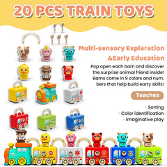 DEGIDEGI BPA-free plastic ensures safe toddler play.