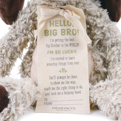 DEMDACO Big Brother Puppy plush, 13-inch figure ready for cuddles and play