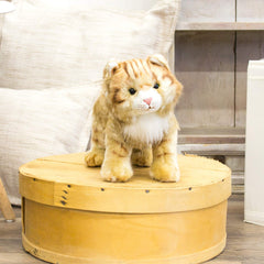 Close-up of air-brushed accents on the Maine Coon plush for lifelike charm.