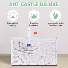 DigNew Ant Farming Castle inside layout with nursery and feeding zones.