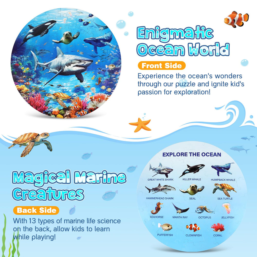 DIGOBAY back-view with marine-science illustrations offers educational prompts during play.