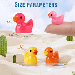 Diinokiy miniature ducks for aquarium decor and terrarium accents.