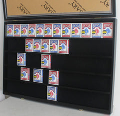 DisplayGifts display case with wall-mount brackets enables easy hanging display.