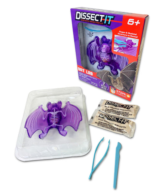 Dissect-It bat dissection model for hands-on biology exploration at home