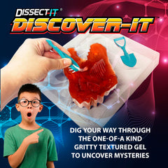 Dissect It Discover-It discovery tools in use for precise bone excavation at home.