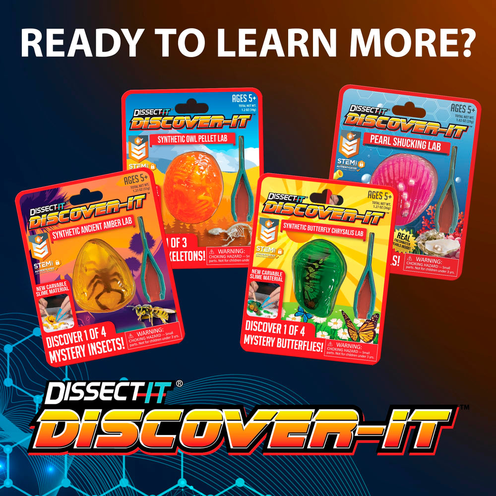 Dissect It dissection tools set designed for gentle, kid-friendly handling