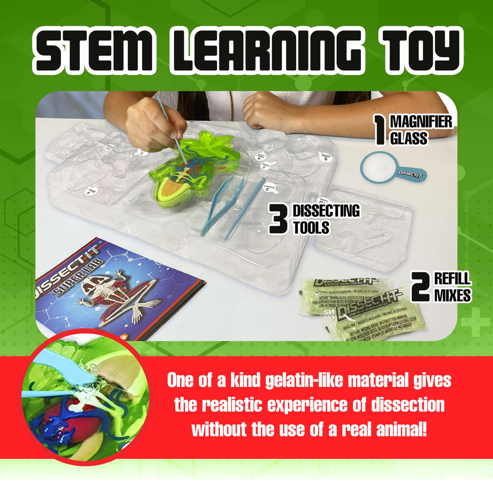 Plastic dissection tools from Dissect It Kit designed for safe, precise use by kids