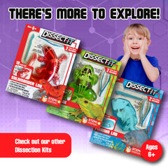 Dissect-It kid-friendly home learning kit for STEM exploration