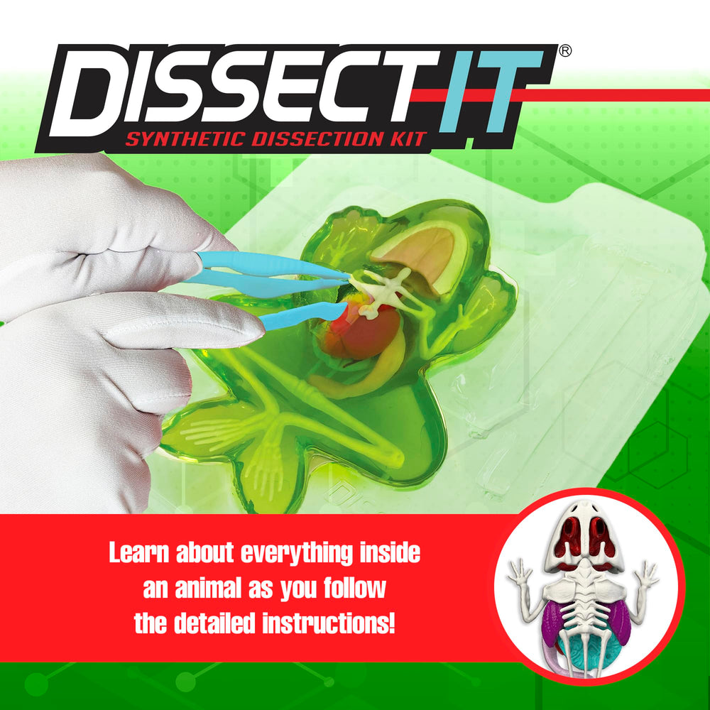 Dissect It dissecting-tray keeps activities tidy and mess-free.