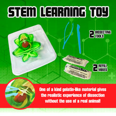 Dissect It plastic-tools enable precise dissections for young learners.