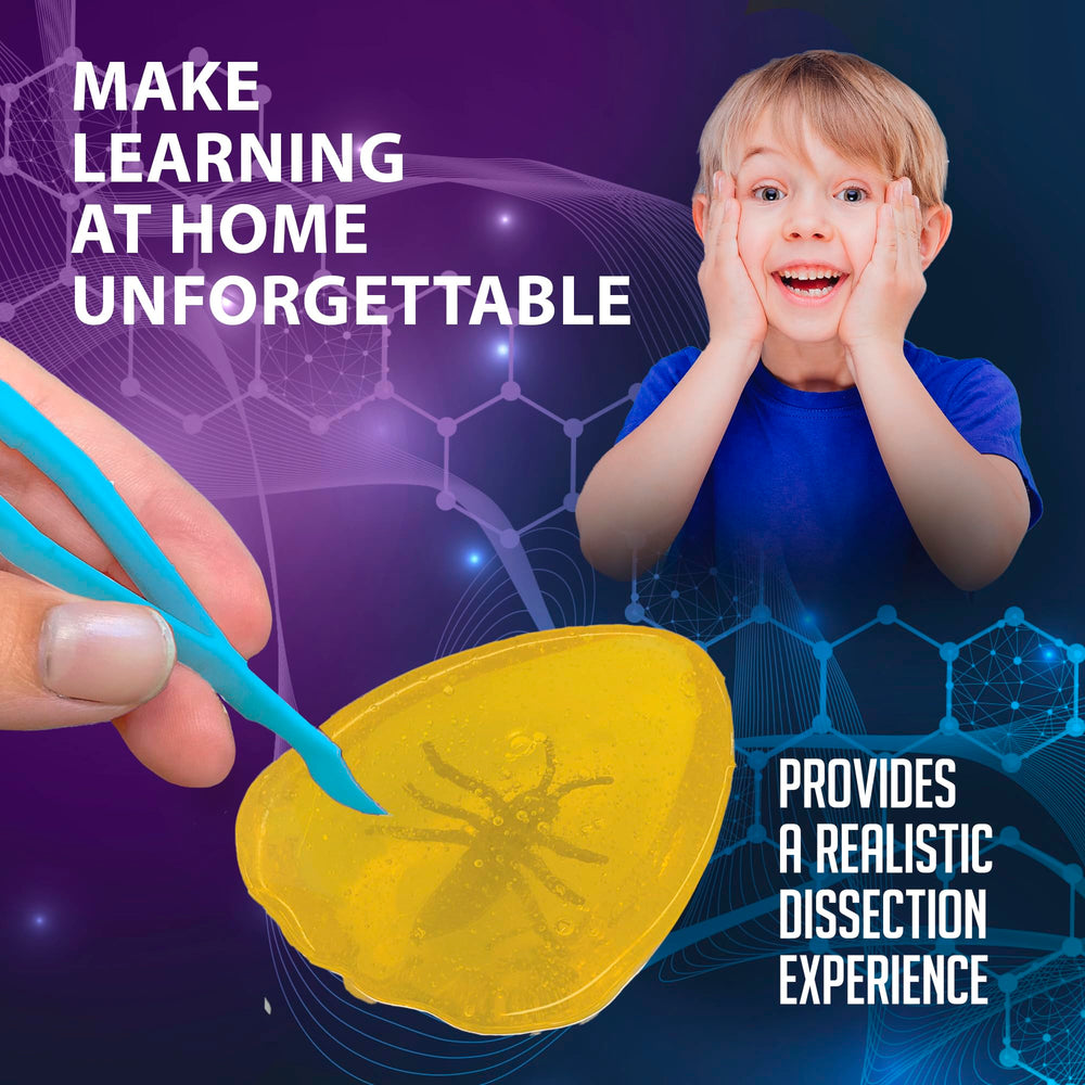 Dissect It Discover-It learning guide expands amber and insect science concepts.