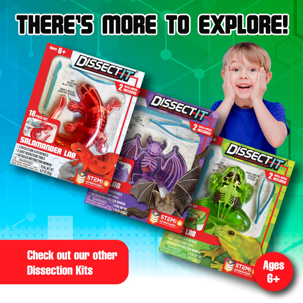 Dissect It Mega Lab step-by-step guide for guided discovery