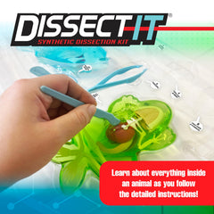 Dissect It Mega Lab Piranha model revealing internal organs for interactive study