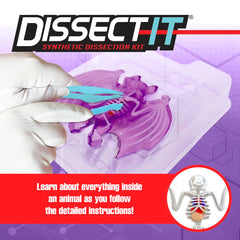Dissect-It plastic tools for safe, precise anatomy exploration